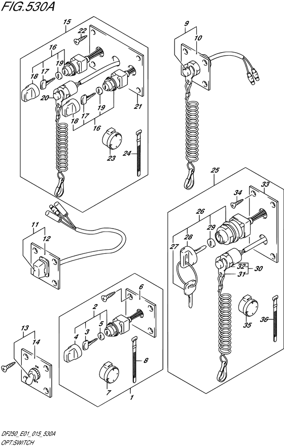 Suzuki DF 250 Opt: Switch