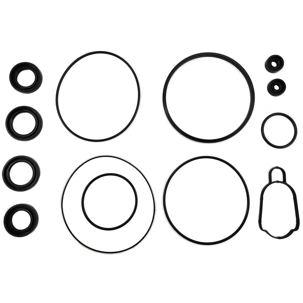 Gear Case Seal Kit